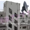 【終了】株式会社リリカムジカ：冷泉アンテナ Vol.3