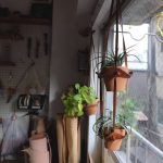 【終了】shoe lab noppo「プラントハンガー・ワークショップ　〜　８月」