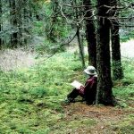 【終了】第９回　冷泉荘ドキュメンタリー映画上映会「センス・オブ・ワンダー　～レイチェル・カーソンの贈りもの～」（2001年/107分/監督：小泉修吉）