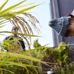 【終了】初収穫！稲刈り＠冷泉荘＆持ち寄りカレーでお昼ご飯<たのしイネseason2第4回>