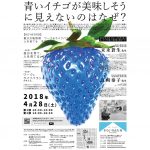 【終了】そらいろのたねアトリエ　オープニング記念「色彩心理体験型講演会」