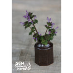 【終了】SEN CERAMIC WORKS