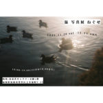 【終了】温  写真展  ねぐせ