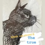 【終了】クロネコDay’s BLACK CAT STREET 8「the true world 本当の世界」