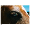 「still,」　Photo exhibition