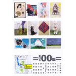 第29回 00展